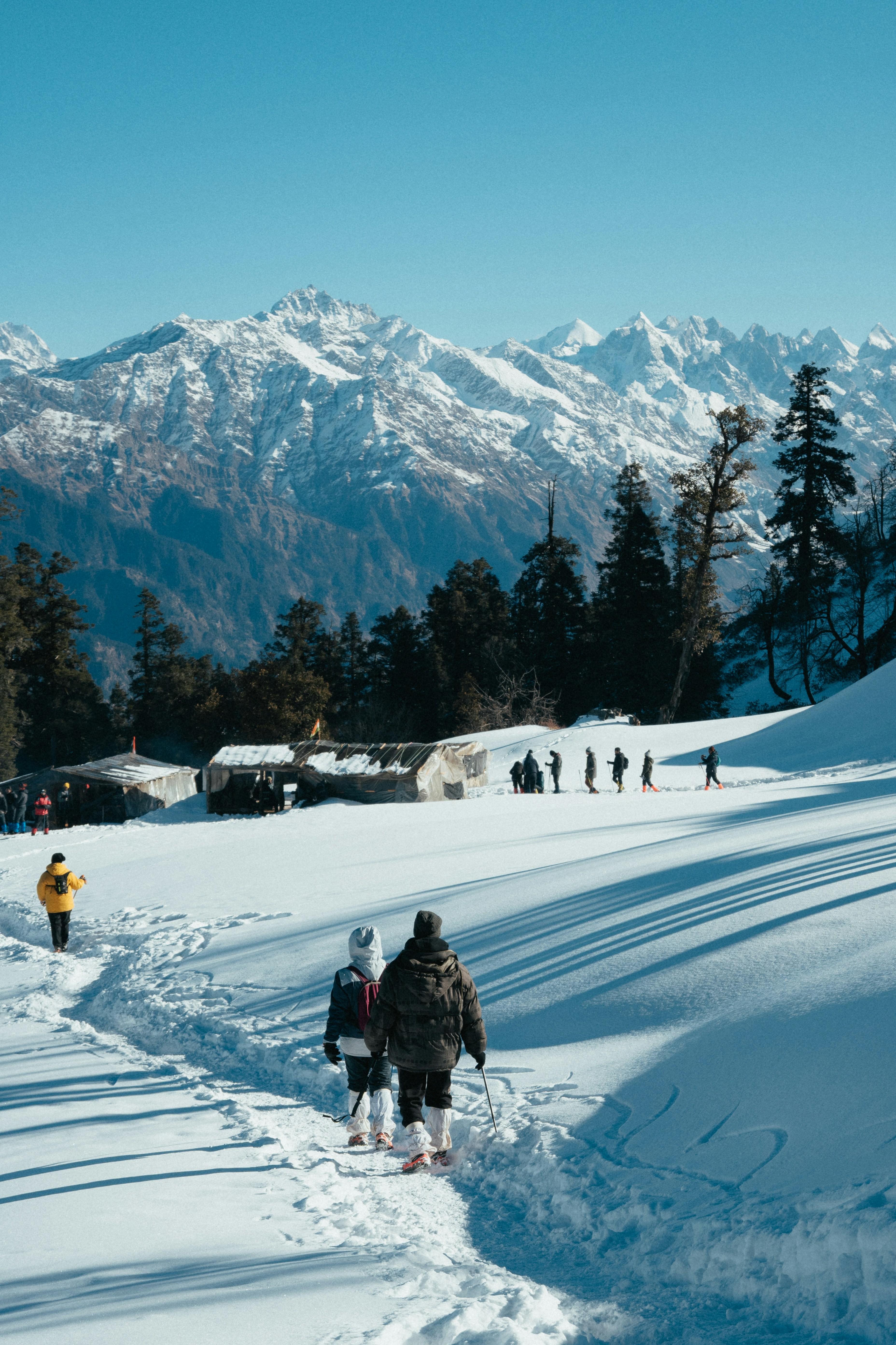 Langlaufen & Winterwandern
