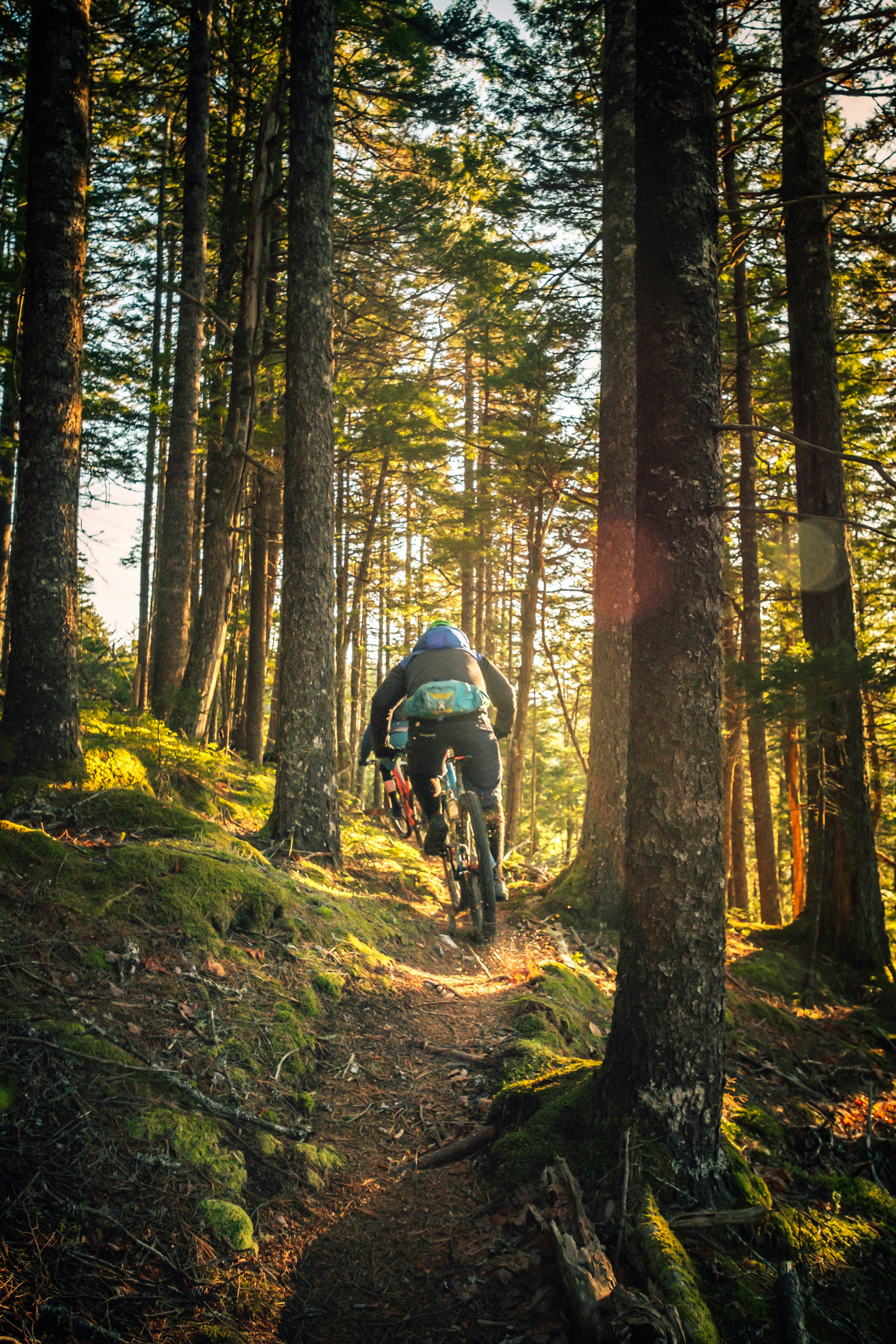 Mountainbiken
